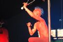 wgt_20087242.jpg