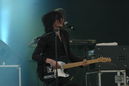 vlaf20101431.jpg