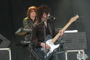 vlaf20101435.jpg