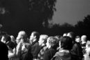 imp_20103629.jpg