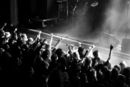 imp_20104061.jpg