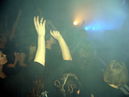 imp_20104239.jpg