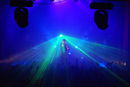 ppf_20104213.jpg