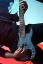 eisb_20120384.jpg