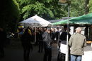 imp_20122258.jpg