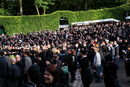 imp_20122269.jpg