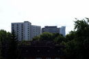 imp_20122278.jpg
