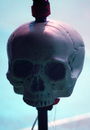 jrrd20124564.jpg