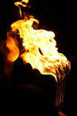 gaf_20130638.jpg