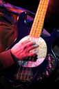 ccao20130748.jpg