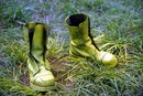 imp_20132443.jpg