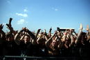 imp_20132469.jpg