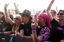 imp_20132491.jpg