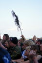 imp_20132505.jpg