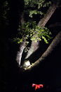 imp_20133186.jpg