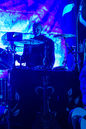 faun20133768.jpg