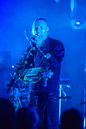 faun20133779.jpg