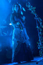 faun20133786.jpg