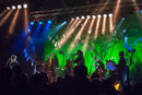 faun20133791.jpg