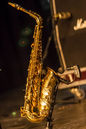 knbo20134023.jpg