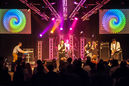 mau_20134037.jpg