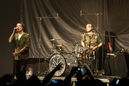 apop20134181.jpg