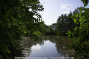 imp_20231976.jpg