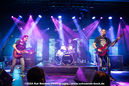 holz20240418.jpg
