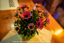 imp_20241323.jpg