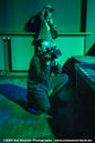 imp_20250281.jpg