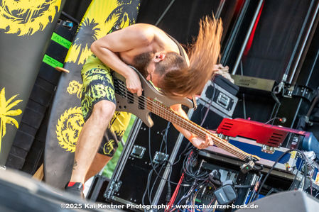 Klicken für Bild in voller Größe