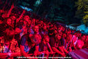 imp_20261820.jpg